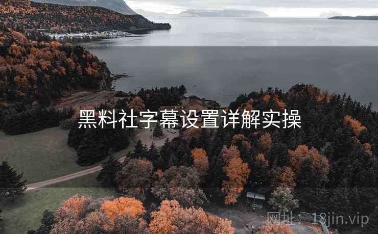 黑料社字幕设置详解实操