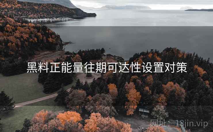 黑料正能量往期可达性设置对策