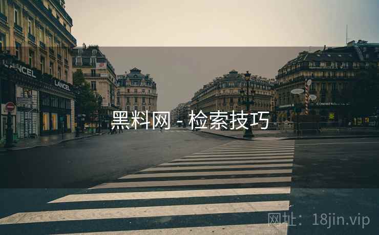 黑料网 - 检索技巧