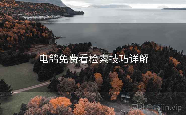 电鸽免费看检索技巧详解 电鸽免费看检索技巧详解