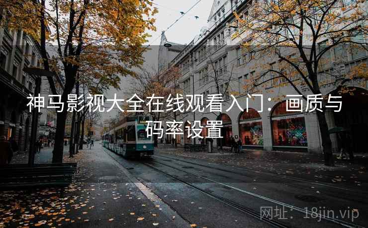神马影视大全在线观看入门：画质与码率设置