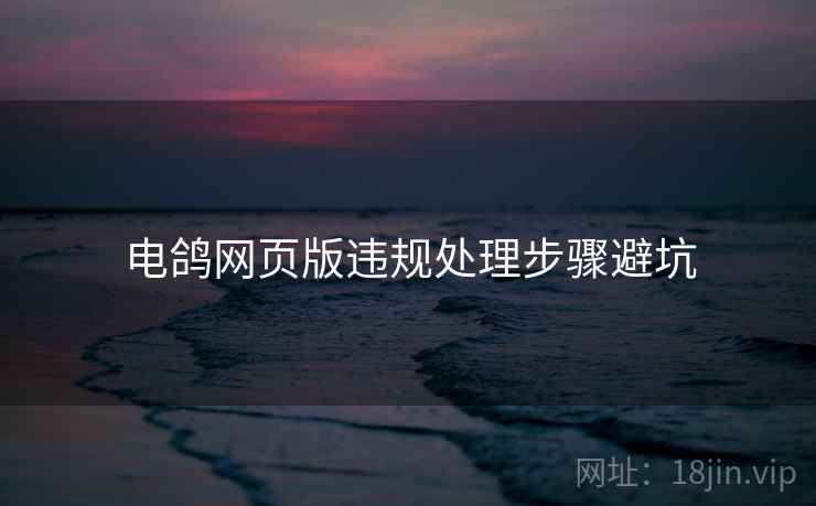 电鸽网页版违规处理步骤避坑