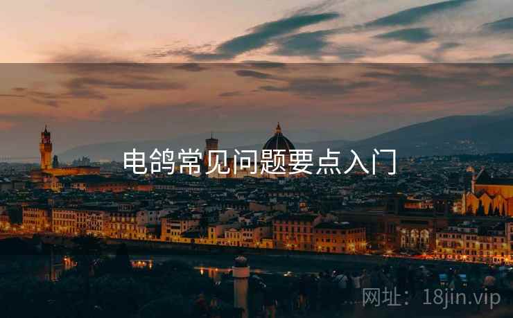 电鸽常见问题要点入门