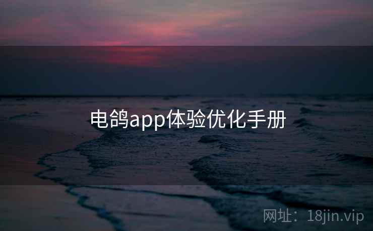电鸽app体验优化手册
