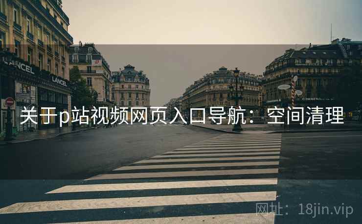 关于p站视频网页入口导航：空间清理