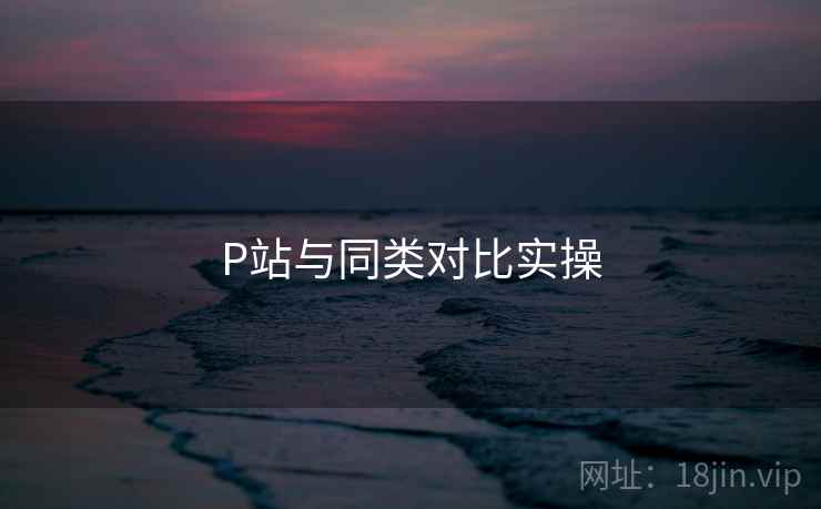 P站与同类对比实操